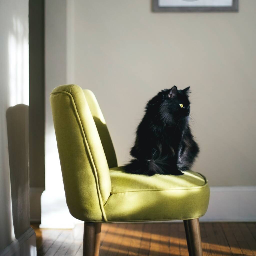 Comodidad y funcionalidad en casas pequeñas + bokapstudio.com