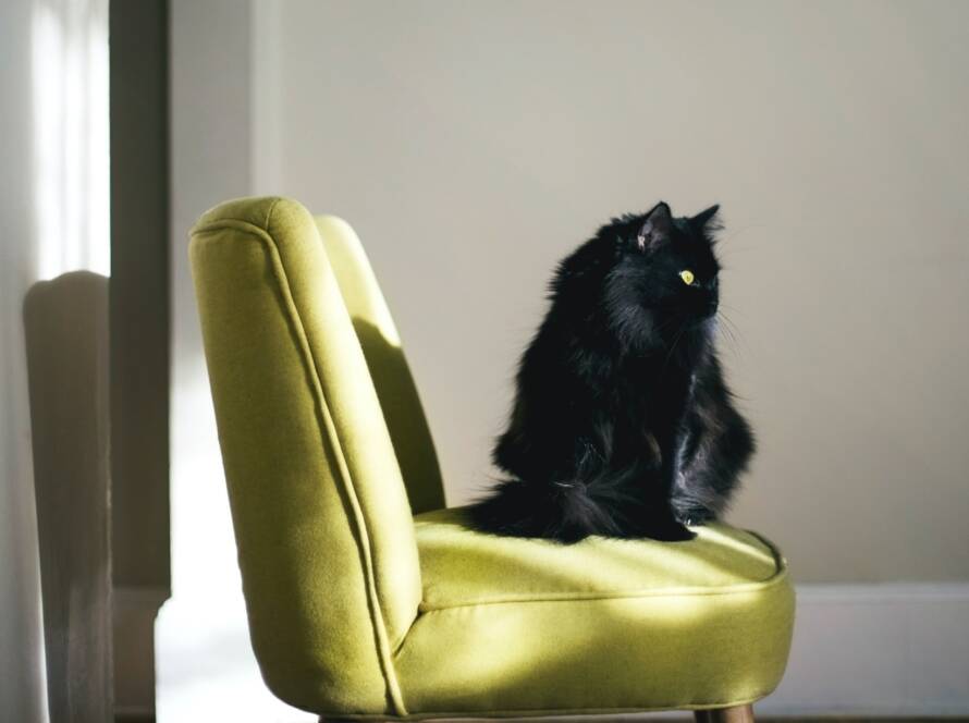 Inicio + bokapstudio.com